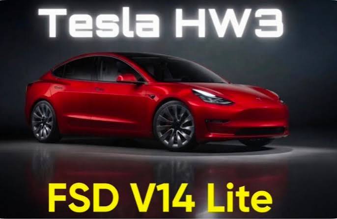 model3 fsd lite